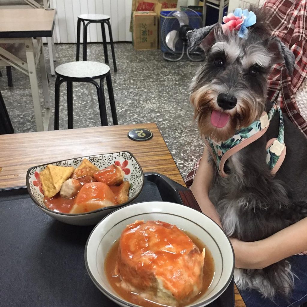 淡水小吃,淡水美食,阿給,三姊妹阿給