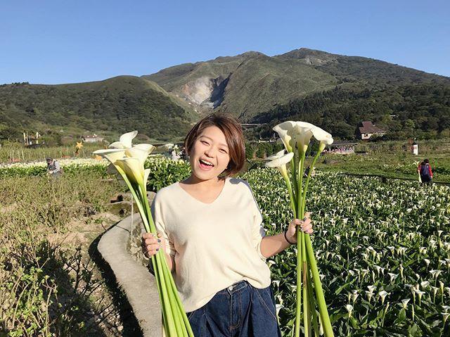 - 陽明山花季 陽明山花季 | 竹子湖海芋已開八成!陽明山花況&溫泉住宿&秘境景點&交通懶人包 2021 陽明山花季 ,櫻花季,陽明山海芋季,海芋季,海芋,台北景點,陽明山景點
