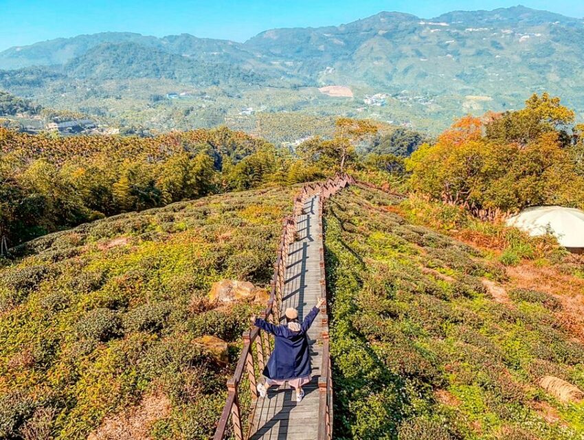 阿里山景點推薦, 太興岩步道有小萬里長城之稱的【太興岩步道】，是條美景盡收又不費力的羽量級步道喔！ 只要停好車就能抵達有【小萬里長城】美譽的太興岩步道，沿著步道往前走還會進入靜謐的竹林，自然生態豐富夏日還可以免於日曬，步道頂端的觀景臺更有一望無際的美景，是個放空拍照的好地方；因為步道全長不到一公里，來回只需一小時即可征服，是一處適合半日遊的阿里山景點。