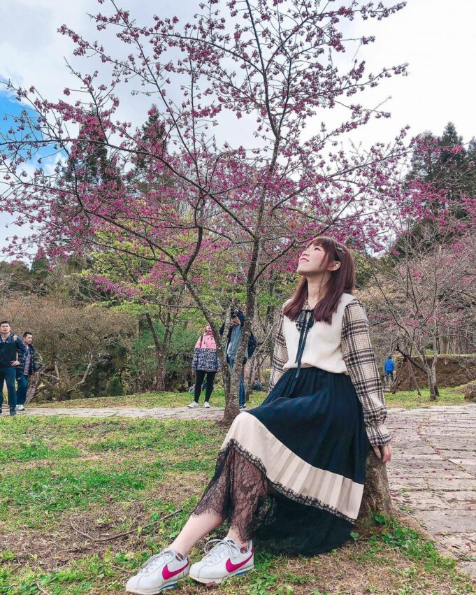 京都車站 阿里山櫻花季【阿里山賞櫻攻略】推薦必去拍照景點、櫻花花況、賞櫻路線、交通懶人包 京都車站 2023 櫻花步道