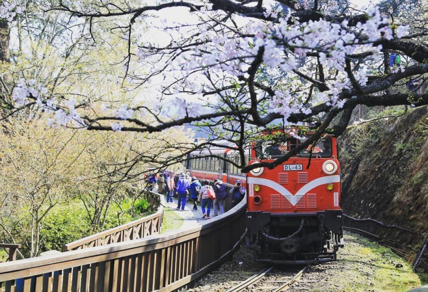 阿里山,阿里山,阿里山車票,阿里山小火車,阿里山小火車路線圖,阿里山日出火車,阿里山火車訂票,阿里山小火車一日遊,阿里山小火車怎麼玩,阿里山火車,阿里山小火車時刻表,阿里山小火車訂票,阿里山火車時刻表,阿里山森林鐵路,阿里山鐵路,阿里山火車站,阿里山林業鐵路,福森號,阿里山小火車票價2023,阿里山小火車網路訂票系統,阿里山小火車票價,阿里山小火車怎麼搭,阿里山看日出火車,阿里山森林鐵路訂票,阿里山小火車全線通車,阿里山小火車日出,阿里山小火車祝山線,阿里山火車時刻,阿里山日出火車時間,小火車時刻表,阿里山森林火車時刻表,阿里山檜木火車時間表,阿里山小火車時間,阿里山鐵路路線,檜木小火車,阿里山鐵路全線通車,阿里山祝山線時刻表,阿里山小火車住宿,阿里山小火車站,阿里山檜木小火車,阿里山小火車看日出,阿里山小火車路線圖2022,阿里山鐵路時刻表,阿里山小火車路線,阿里山小火車購票方式,阿里山火車票,阿里山鐵路路線圖,阿里山小火車復駛了嗎,阿里山火車路線圖,阿里山蒸汽火車,福森號試車,福森號路線,福森號訂票,福森號票價,福森號時刻表,阿里山森林小火車,阿里山小火車坐多久,小火車阿里山,森林鐵路,阿里山森林鐵路時刻表,阿里山火車票價,阿里山日出時間火車,阿里山森林火車,阿里山小火车,阿里山森林鐵路路線圖,阿里山日出火車買票,阿里山鐵路訂票,阿里山日出小火車,森林小火車,阿里山小火車時刻表2021,阿里山小火車攻略,阿里山小火車介紹,阿里山小火車看日出時刻表,阿里山火車路線,阿里山小火車訂不到票,阿里山小火車訂票攻略,阿里山檜木火車,阿里山日出火車票,森林鐵路訂票,阿里山小火車時刻表2023,阿里山小火車時刻表2023,沼平站