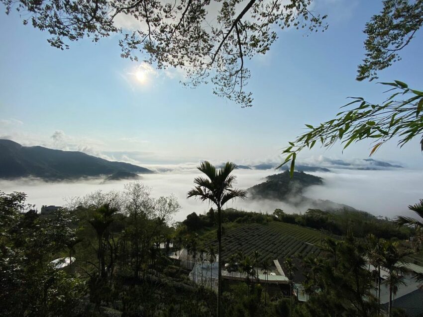 阿里山景點推薦, 瑞里綠色隧道日本京都嵐山有孟宗竹林，台灣其實也隱藏著多處竹林秘境，像是之前介紹過的苗栗烏嘎彥竹林，還有阿里山周圍的【瑞里綠色隧道】竹林環狀步道，一點也不輸給日本喔！步道全程為水泥地好走不泥濘，沿途可看到孟宗竹、桂竹、柳杉林等，還有群山及茶園景象可以眺望，全程只有2公里，約2小時以內就可走完了，是個兼具運動、踏青、及拍照的隱藏版山間景點。