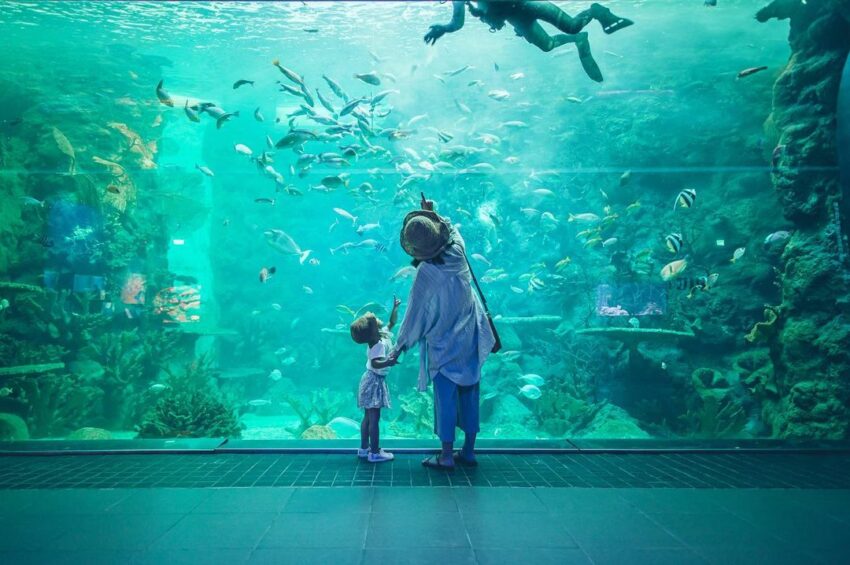 【2024澎湖水族館】台灣離島唯一的「澎湖水族館」海洋生態一日遊、門票攻略 1 2024