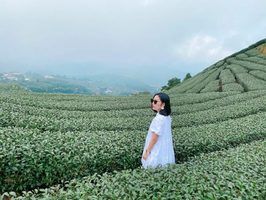 阿里山日出景點 阿里山日出景點｜推薦最佳日出地點、最佳觀日出時間、阿里山日出小火車攻略 4 2024