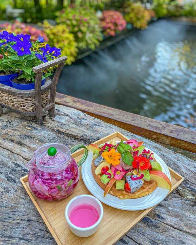 苗栗卓蘭【花露農場 】全台首座精油博物館，沉浸在四季繽紛花海享受午茶時光 9 2024