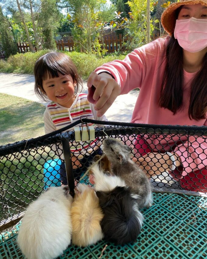 艾米達精靈谷茶樹莊園 可愛動物區