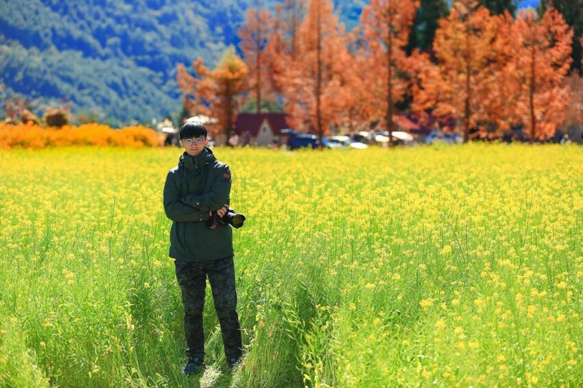 武陵農場露營 油菜花田 2023武陵櫻花季