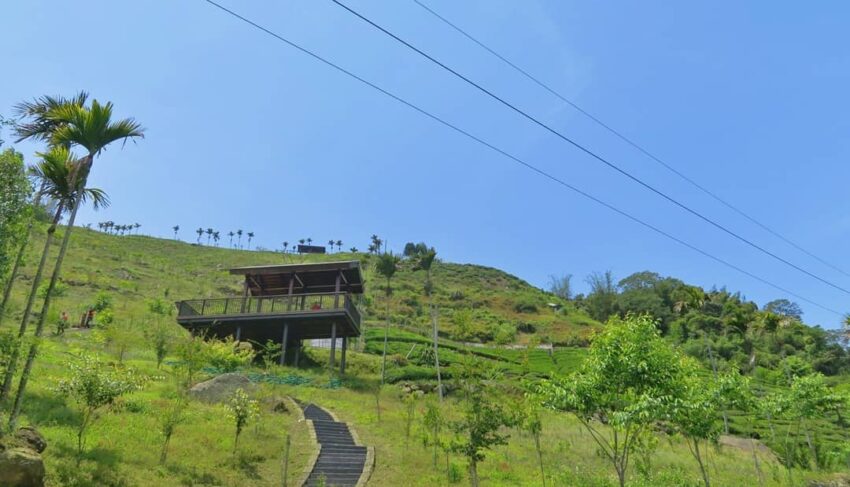 公興龍美步道 公興龍美步道