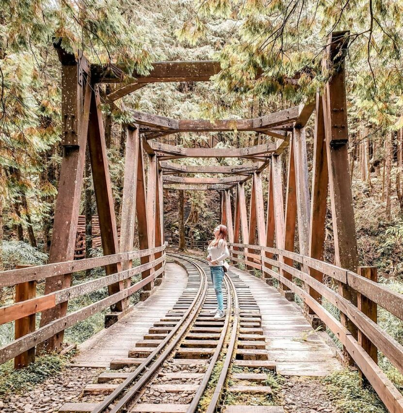 阿里山景點推薦,阿里山國家森林遊樂區 (姊妹潭、水山巨木) 阿里山景點推薦,阿里山國家森林遊樂區 (姊妹潭、水山巨木)