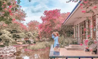 銘園 銘園