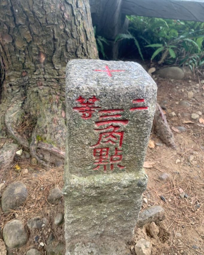 raw-image