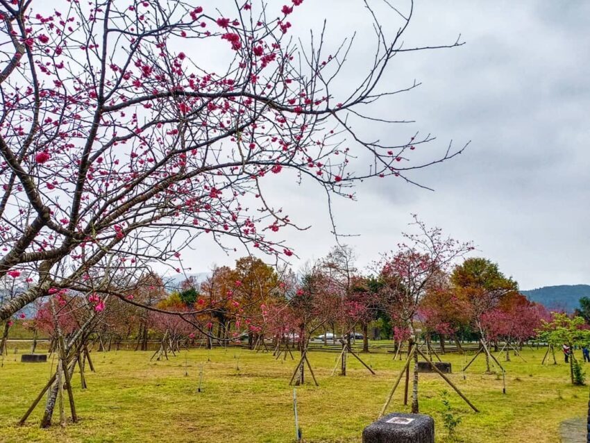 崙埤河濱公園 崙埤河濱公園
