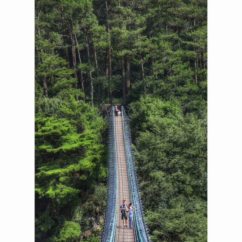 奧萬大,奧萬大,奧萬大門票, 奧萬大國家森林遊樂區, 奧萬大一日遊, 奧萬大兩天一夜, 奧萬大楓紅餐廳菜單, 奧萬大楓紅餐廳, 清境到奧萬大, 清境奧萬大, 奧萬大到清境, 日月潭到奧萬大, 奧萬大接駁小車, klook奧萬大, kkday奧萬大, 楓葉奧萬大, 清境農場到奧萬大, 奧萬大到武界, 奧萬大到日月潭, 賞楓奧萬大, 清境農場奧萬大, 奧萬大買一送一, 奧萬大玩水, 2023奧萬大, 11月奧萬大, 日月潭奧萬大, 到奧萬大, 奧萬大一日, 奧萬大的楓葉, 12月奧萬大, 奧萬大到清境農場, 10月奧萬大, 奧灣大, 奧萬大一月, 奧萬大的門票, 奧萬大之旅, 2月奧萬大, 9月奧萬大, 4月奧萬大, 奧萬大兩天一夜行程, 福壽山奧萬大, 四月奧萬大, 去奧萬大, 奧萬大到清境交通, 奧萬大森遊區,