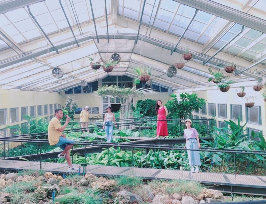 「花榭」其實是溫室,而園區內也有大大小小的溫室,在不到30公尺長的溫室裏,就栽種了數十種的植物,就像是進到了一座小型的森林之中,仙人掌、蘭花、熱帶森林,從海濱到淺山常見的植物通通有,充滿了整片綠意盎然。 墾丁國家森林遊樂區 溫室