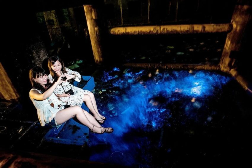 - 馬祖藍眼淚 【2022馬祖藍眼淚】這生不能錯過,海的「藍色眼淚」,夢幻追淚懶人包整理 2022 馬祖北竿藍眼淚 馬祖藍眼淚 藍眼淚 蘭眼淚 藍色眼淚 藍眼淚季節