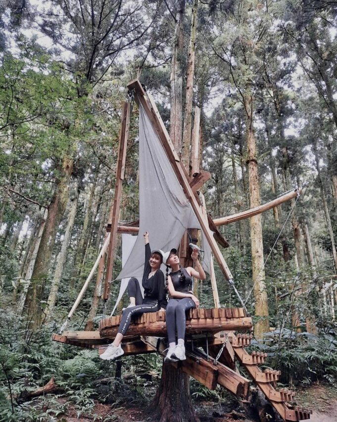 桃園登山步道｜精選11條舒適好走的山林步道，擁抱神木沐浴芬多精，輕鬆get小百岳！ 1 2024