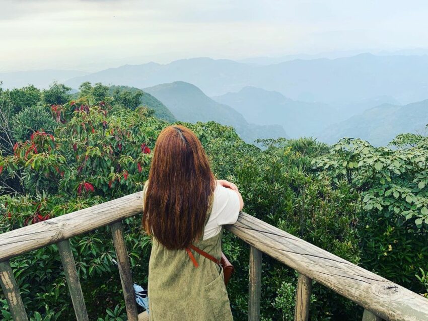 東眼山國家森林遊樂區 東眼山國家森林遊樂區|高聳柳杉林秘境,1小時輕鬆征服小百岳!北部森林步道推薦 東眼山國家森林遊樂區 2023 東眼山國家森林遊樂區 東眼山國家森林遊樂區|高聳柳杉林秘境,1小時輕鬆征服小百岳!北部森林步道推薦 4 2023