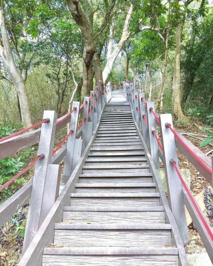 新田山鄧山步道 木階梯