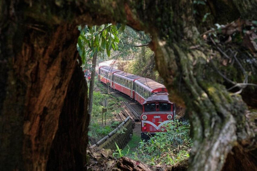 阿里山,阿里山,阿里山車票,阿里山小火車,阿里山小火車路線圖,阿里山日出火車,阿里山火車訂票,阿里山小火車一日遊,阿里山小火車怎麼玩,阿里山火車,阿里山小火車時刻表,阿里山小火車訂票,阿里山火車時刻表,阿里山森林鐵路,阿里山鐵路,阿里山火車站,阿里山林業鐵路,福森號,阿里山小火車票價2023,阿里山小火車網路訂票系統,阿里山小火車票價,阿里山小火車怎麼搭,阿里山看日出火車,阿里山森林鐵路訂票,阿里山小火車全線通車,阿里山小火車日出,阿里山小火車祝山線,阿里山火車時刻,阿里山日出火車時間,小火車時刻表,阿里山森林火車時刻表,阿里山檜木火車時間表,阿里山小火車時間,阿里山鐵路路線,檜木小火車,阿里山鐵路全線通車,阿里山祝山線時刻表,阿里山小火車住宿,阿里山小火車站,阿里山檜木小火車,阿里山小火車看日出,阿里山小火車路線圖2022,阿里山鐵路時刻表,阿里山小火車路線,阿里山小火車購票方式,阿里山火車票,阿里山鐵路路線圖,阿里山小火車復駛了嗎,阿里山火車路線圖,阿里山蒸汽火車,福森號試車,福森號路線,福森號訂票,福森號票價,福森號時刻表,阿里山森林小火車,阿里山小火車坐多久,小火車阿里山,森林鐵路,阿里山森林鐵路時刻表,阿里山火車票價,阿里山日出時間火車,阿里山森林火車,阿里山小火车,阿里山森林鐵路路線圖,阿里山日出火車買票,阿里山鐵路訂票,阿里山日出小火車,森林小火車,阿里山小火車時刻表2021,阿里山小火車攻略,阿里山小火車介紹,阿里山小火車看日出時刻表,阿里山火車路線,阿里山小火車訂不到票,阿里山小火車訂票攻略,阿里山檜木火車,阿里山日出火車票,森林鐵路訂票,阿里山小火車時刻表2023,阿里山小火車時刻表2023,