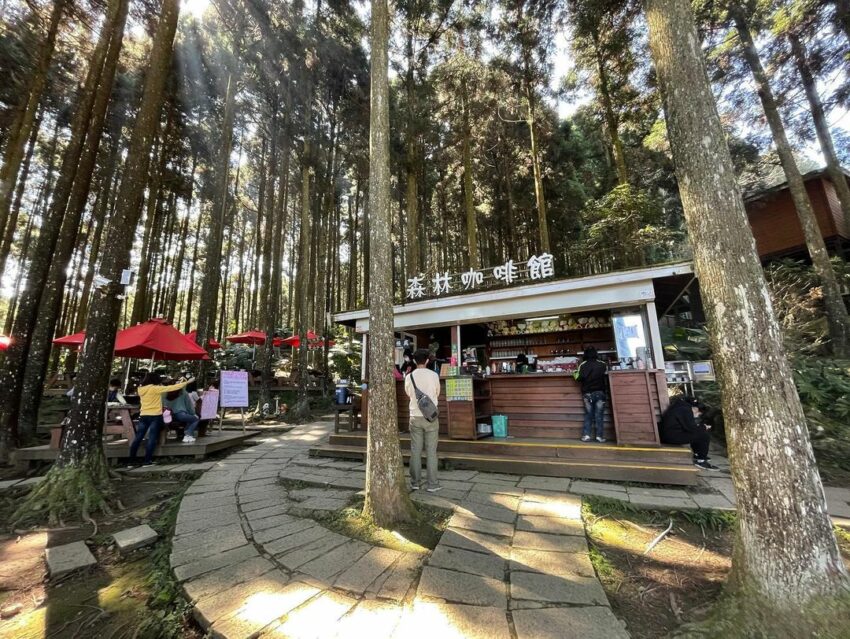 山上人家森林農場 山上人家森林農場