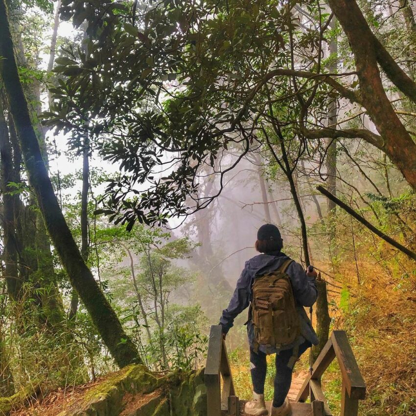 兒童節活動優惠｜清明連假親子旅遊景點、遊樂園、博物館優惠 31 2024