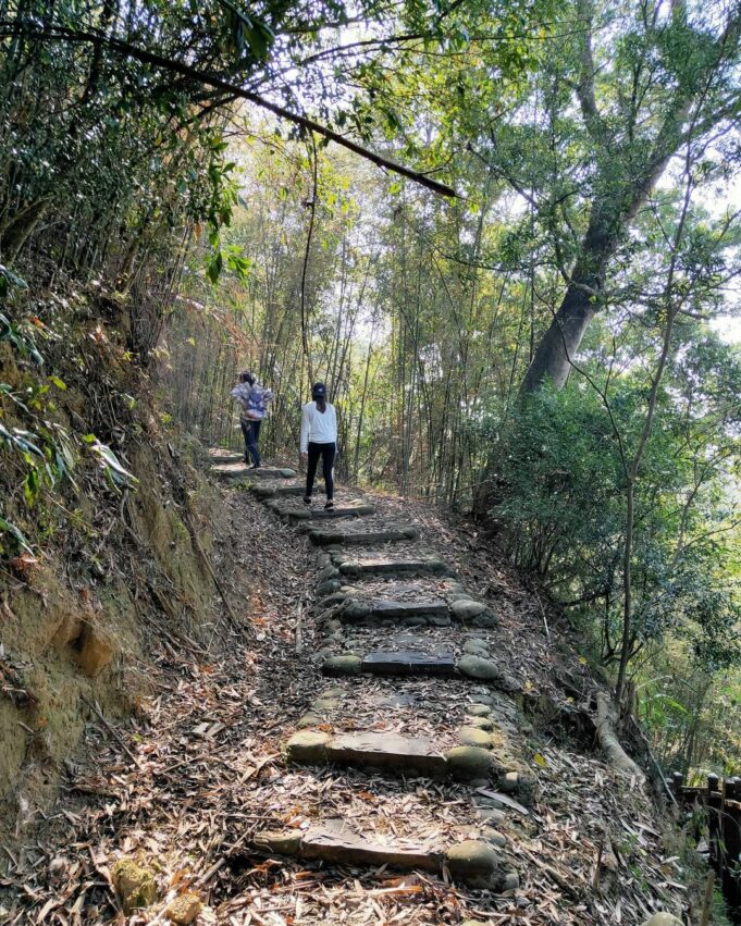 銅鏡山林步道 銅鏡山林步道