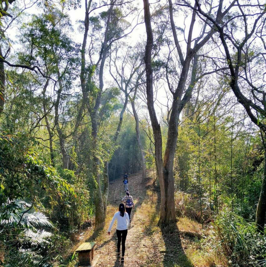 銅鏡山林步道 銅鏡山林步道