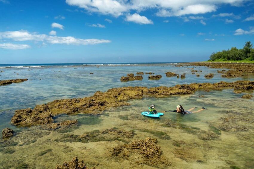 恆春萬里桐 | 萬里桐的海岸大多是珊瑚礁岩，加上靠近岸邊的海水深度很淺，可以一眼看透海水中躲在礁石間的螃蟹和魚群