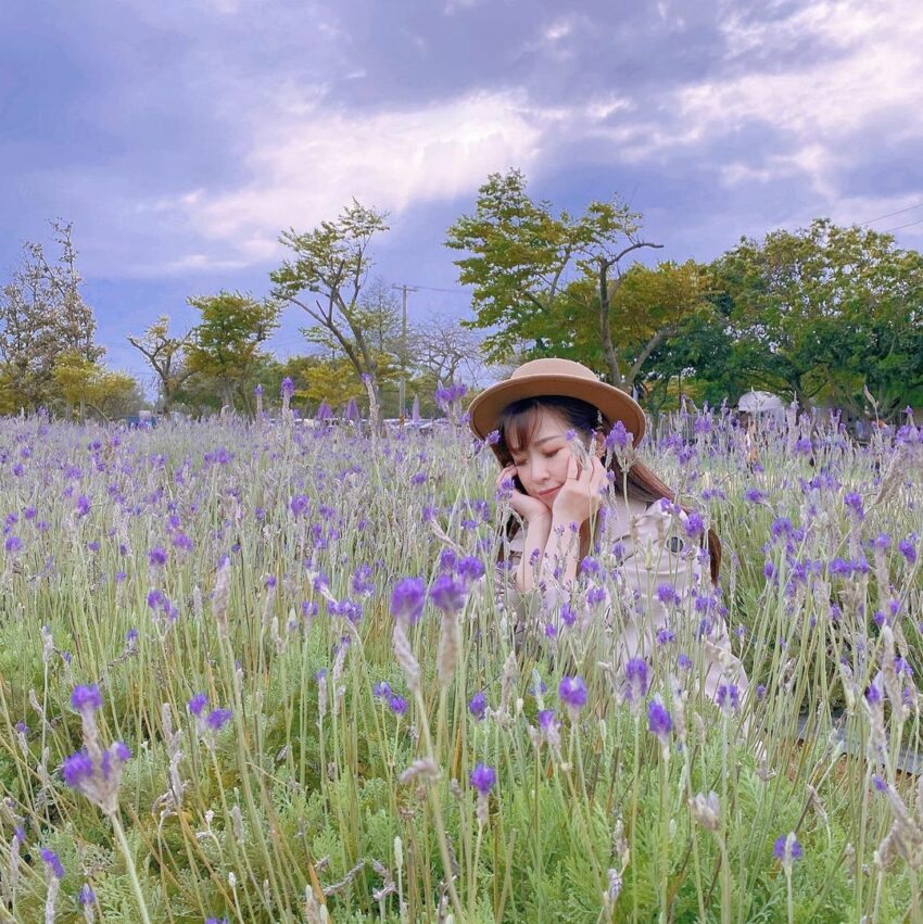 向陽農場｜桃園觀音景點｜夏日賞花打卡景點，一起徜徉在向日葵黃色花海中吧！ 7 2024