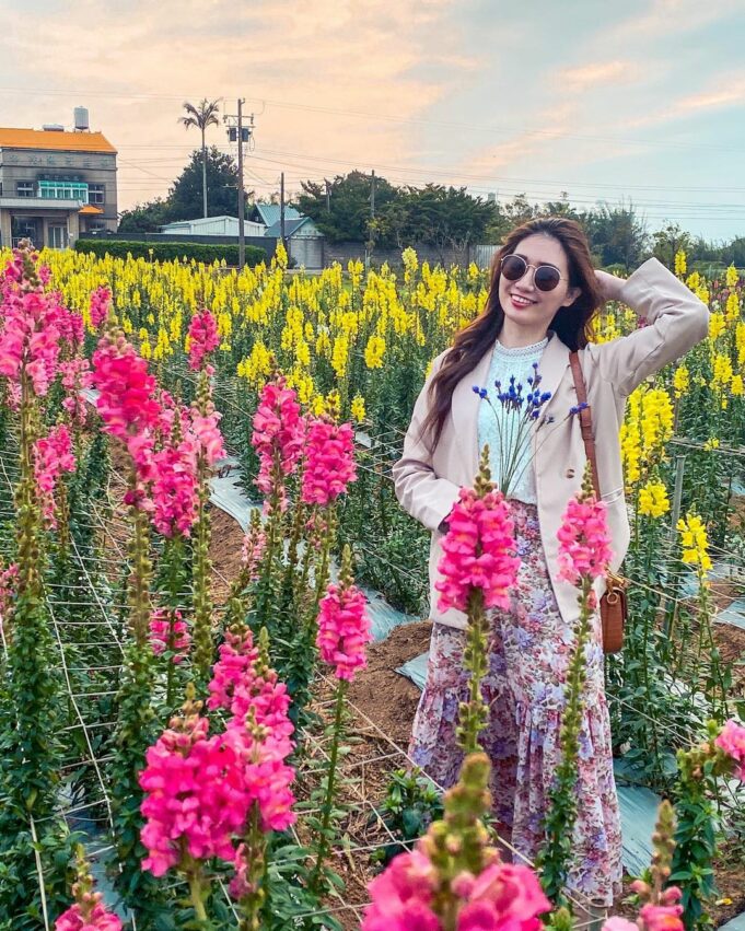 向陽農場 向陽農場｜桃園觀音景點｜夏日賞花打卡景點，一起徜徉在向日葵黃色花海中吧！ 2 2024