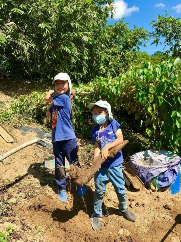 基隆親子景點｜綠竹緣山薯農場是可以讓小朋友親近大自然，體驗田園生活的好地方。