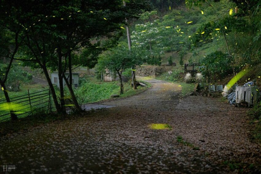 苗栗登山步道 苗栗登山步道｜嚴選 10 條山林步道、古道、羽量級小百岳【戶外健行首選】 4 2024