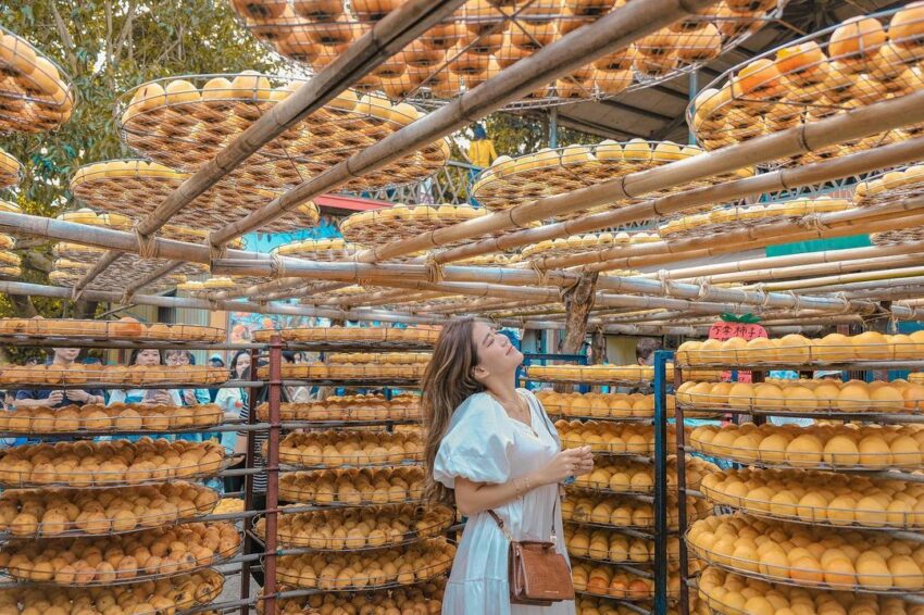 味衛佳柿餅觀光農場