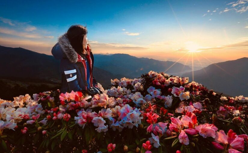 合歡山國家森林遊樂區,百岳,太魯閣國家公園,杜鵑花季,合歡山暗空公園,松雪樓,清境農場,南投,花蓮,合歡山,南投景點,花蓮景點,武嶺,中橫山脈,登山,中央山脈,太魯閣,杜鵑花,流星雨,合歡山步道,石門山,滑雪山