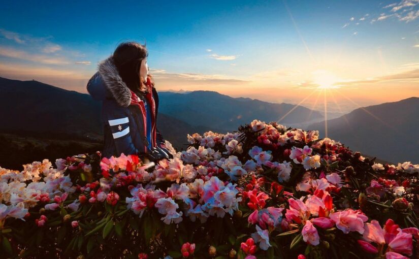 南投,花蓮,合歡山,合歡山國家森林遊樂區,南投景點,花蓮景點,百岳,武嶺,清境農場,中橫山脈,登山,中央山脈,太魯閣,杜鵑花,流星雨,合歡山暗空公園,合歡山步道,石門山,松雪樓,滑雪山莊