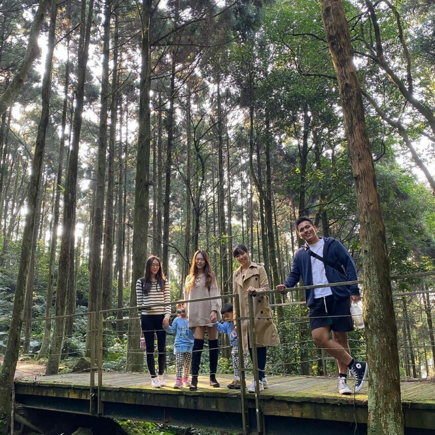 三峽熊空茶園｜來到熊空茶園，別忘了到柳杉木林來一場充滿芬多精的森林浴