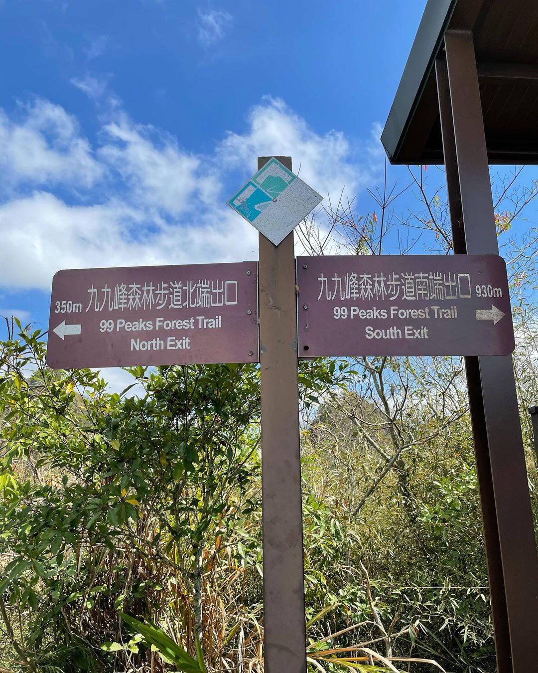 九九峰森林步道 南投草屯第一景 結合自然生態與藝術氣息的環狀森林步道 好好玩台灣2021