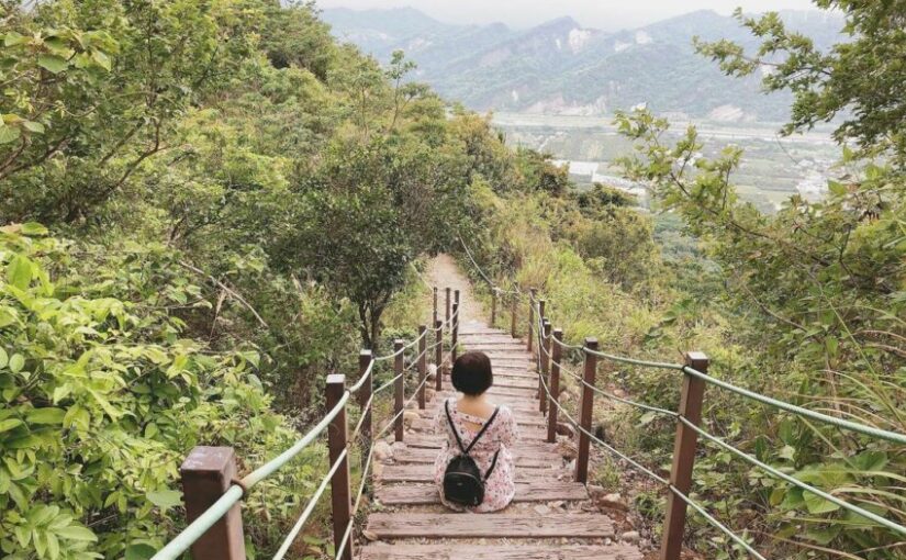 九九峰森林步道 南投草屯第一景 結合自然生態與藝術氣息的環狀森林步道 好好玩台灣2021