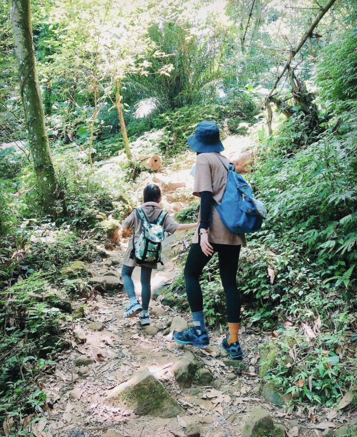 桃園登山步道 精選10條舒適好走的山林步道 擁抱神木沐浴芬多精 輕鬆get小百岳
