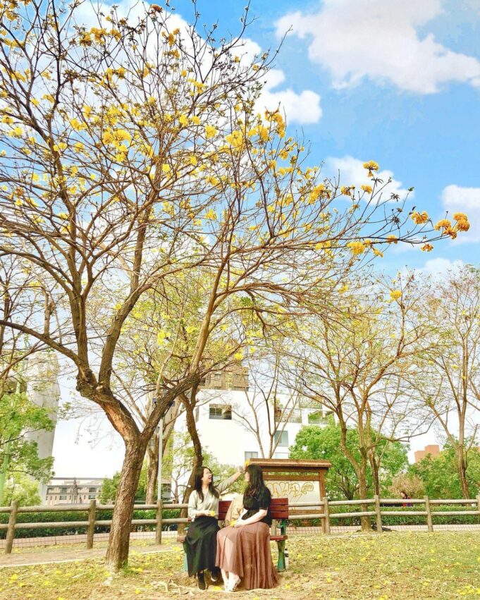 大坑景點廍子公園