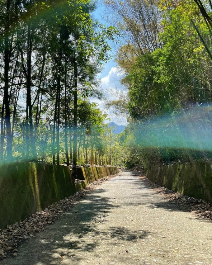 九九峰森林步道 九九峰森林步道｜南投草屯第一景，結合自然生態與藝術氣息的環狀森林步道! 7 2022