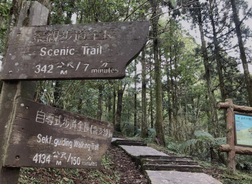 - 桃園登山步道 桃園登山步道|精選10條舒適好走的山林步道,擁抱神木沐浴芬多精,輕鬆get小百岳! 2021 桃園登山步道