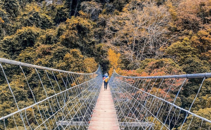 霞喀羅古道 台灣最美國家級步道 春賞櫻 夏林相 秋冬觀紅葉 讓人放鬆身心的秘境