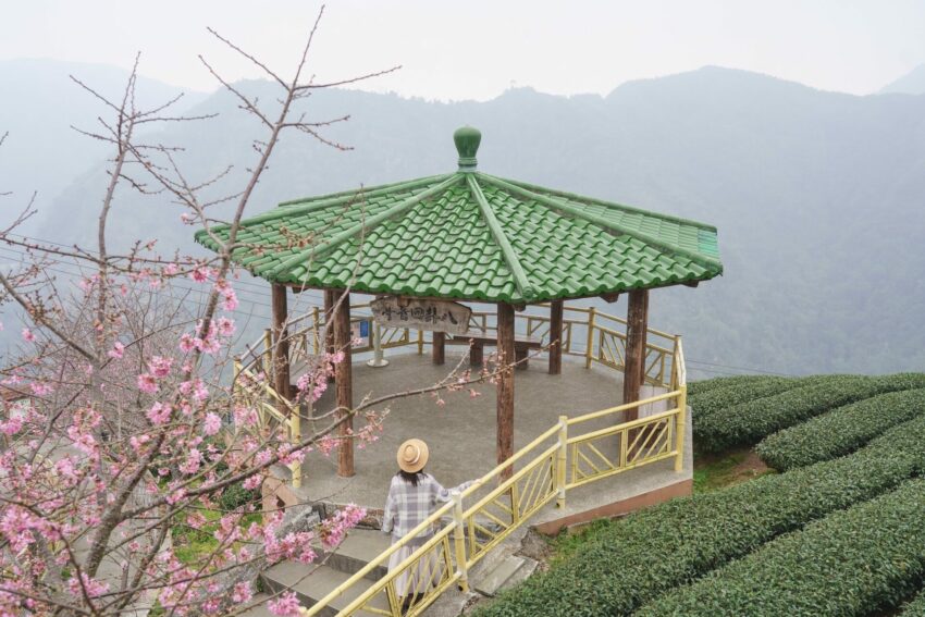 竹山景點｜往山林出發！竹山一日遊秘境＆竹山老街美食推薦 26 2024