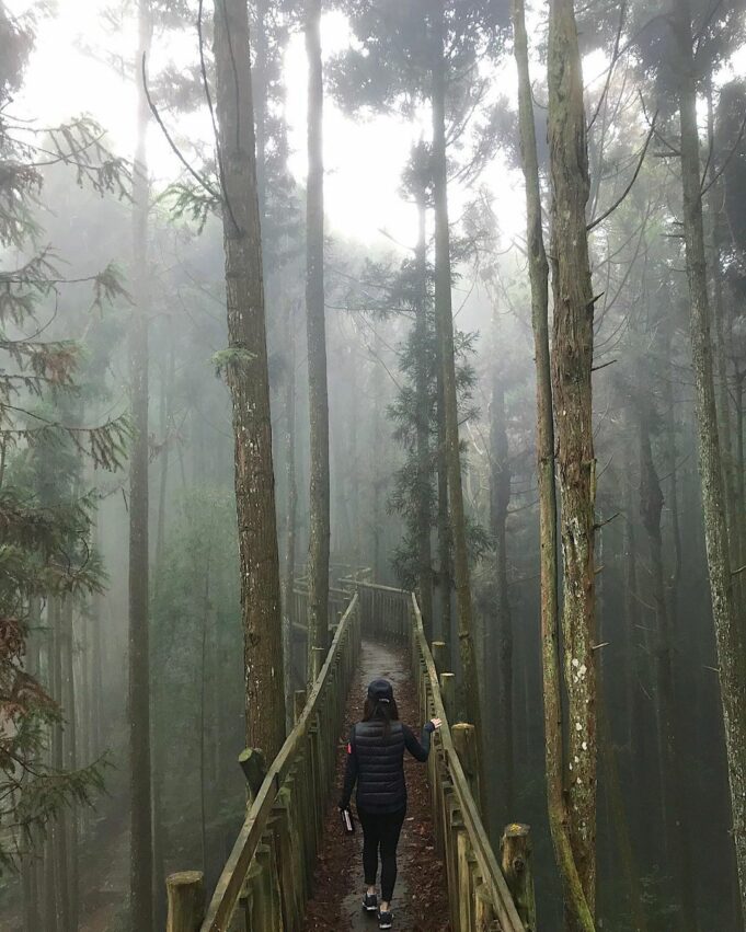 雲林登山步道 雲林登山步道｜一篇帶你收藏７條雲林熱門步道，小抹茶山、台版大峽谷、龍過脈森林步道 5 2024