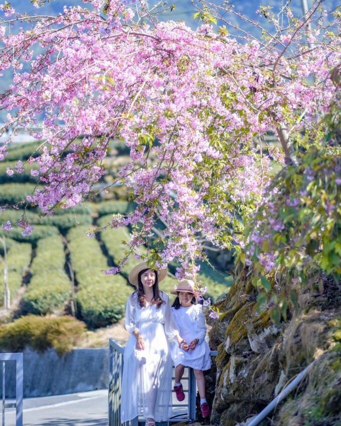 竹山景點 竹山景點｜往山林出發！竹山一日遊秘境＆竹山老街美食推薦 2 2024