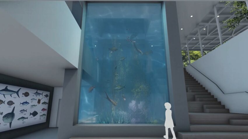 還記得Xpark、屏東海洋生物博物館內都有的挑高水缸,這次潮境智能海洋館也打造了一個2層樓大型挑高水缸,直接從一樓延伸至二樓天花板,不管是悠遊的魚群或是隨波擺動的海藻類,都能用不同角度觀賞。 基隆海科館-潮境智能海洋館