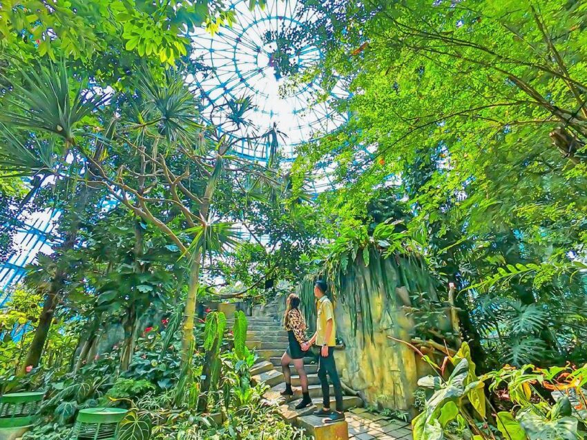 烏日景點 國立自然科學博物館|台灣最寓教於樂的親子景點,結合科學、歷史、生態的特色園區 烏日景點 2022 國立自然科學博物館-植物館