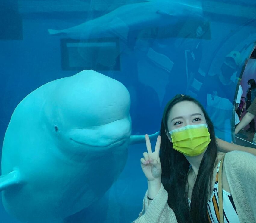 來到海生館當然不能錯過可愛的海洋生物!海生館裡頭有許多人氣明星,像是小白鯨、魟魚、企鵝、海豹,每個都有不同的魅力。聰明絕頂的小白鯨,不像大明星反而很親民,很喜歡和人互動不過有時候也會惡作劇嚇嚇小孩。 屏東海生館