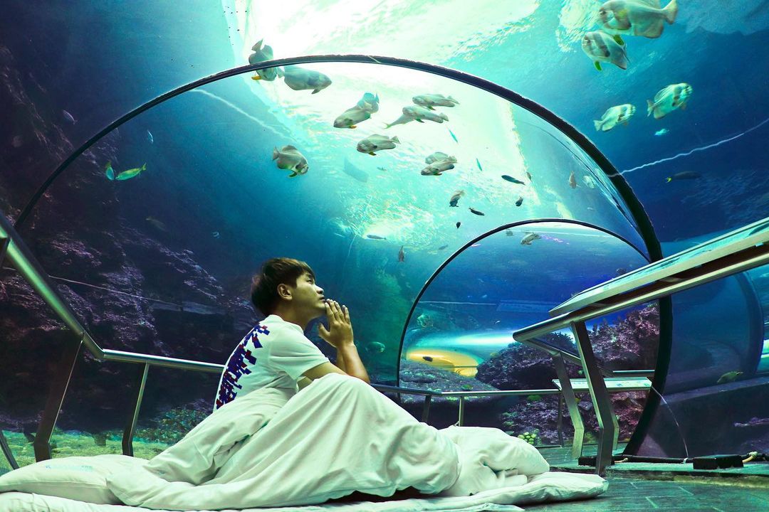 海生館 2021 門票優惠 夜宿海生館 交通 活動 屏東海洋生物博物館全攻略